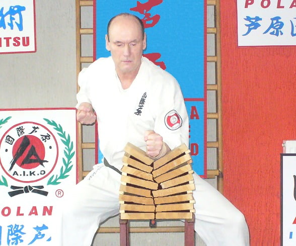 1 jpg d winiarski tameshiwari