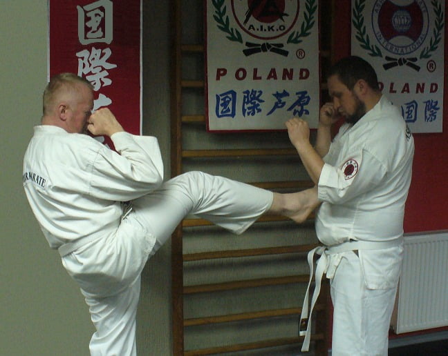 1 jpg trening ashihara karate w sali