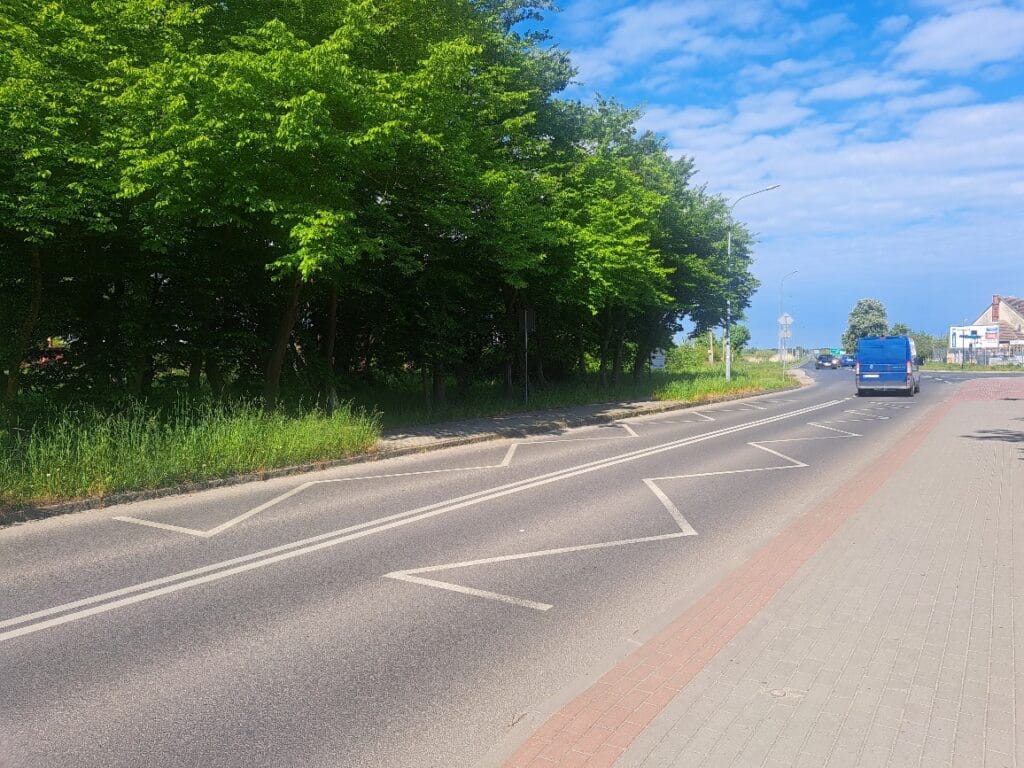 Zielone drzewa przy słonecznej ulicy z niebieskim samochodem