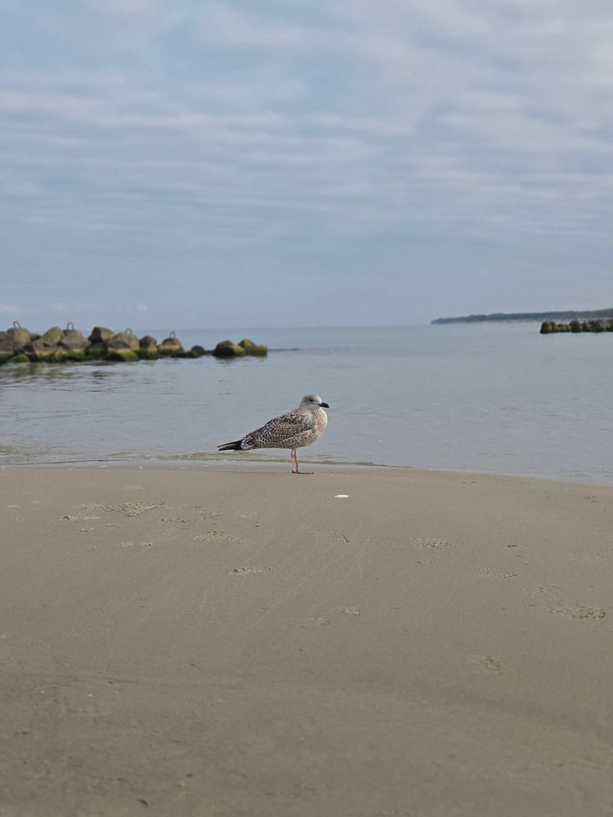 Darłowo na weekend 23-25 stycznia