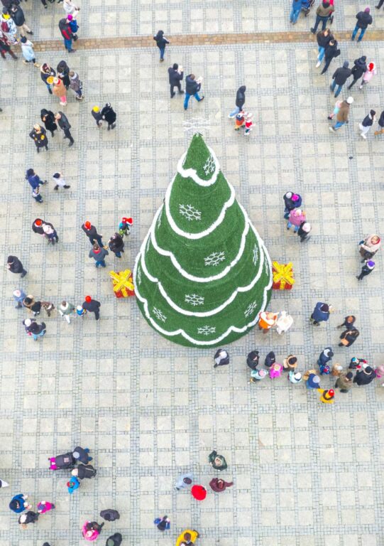 313334177 636259131572099 5132077210702794220 n