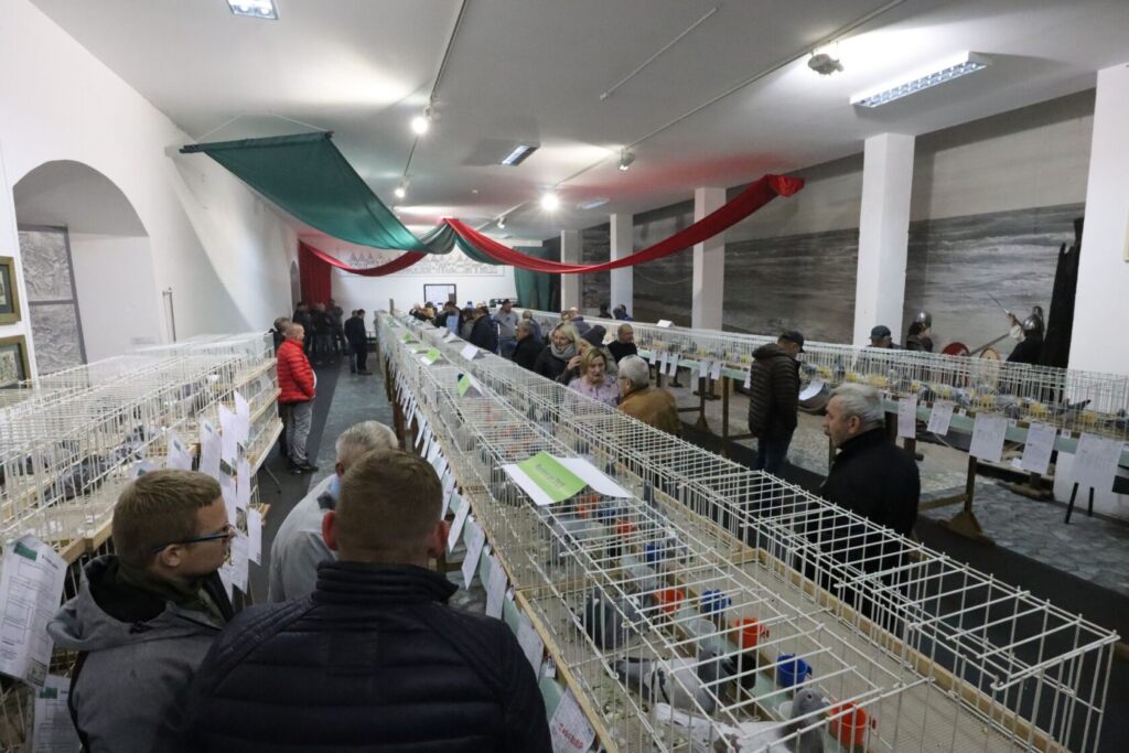 318200910 568674961935512 1954132636939039397 n