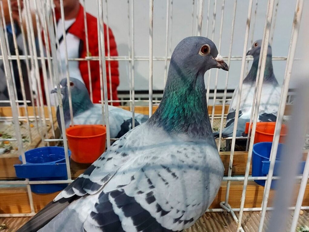 318311098 568604291942579 2775234284666450625 n