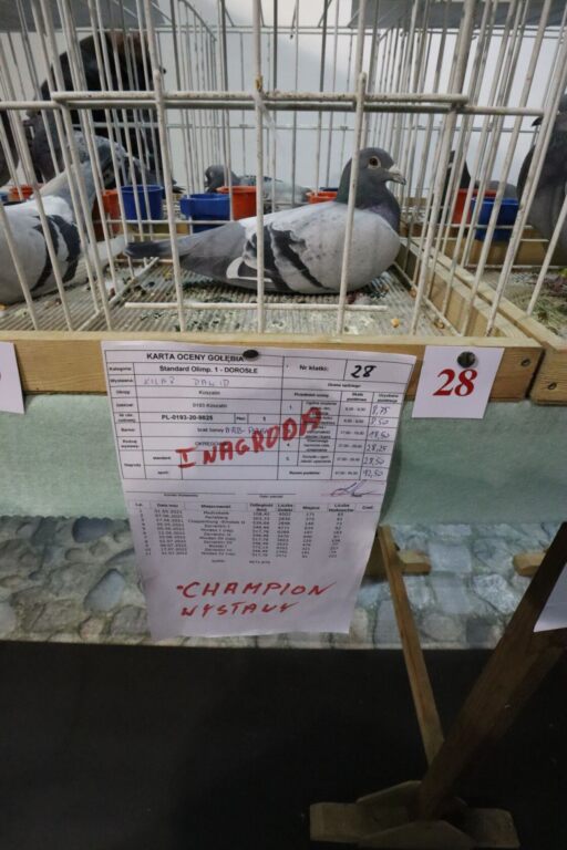 318336067 568674428602232 6819576600074506387 n