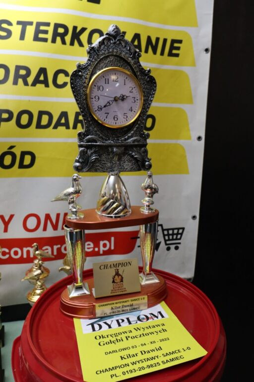 318345121 568673598602315 2734015581500290599 n