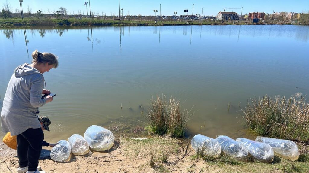 341273788 541968861481660 3711794019249454490 n