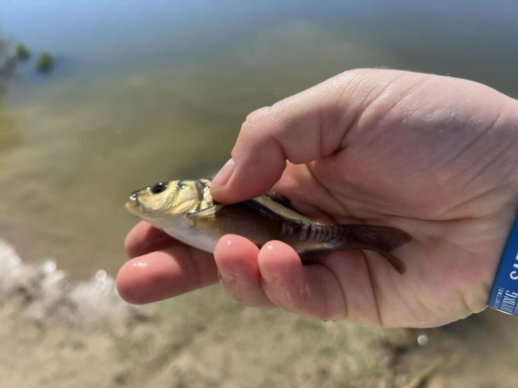 341289768 553511046677276 7028987836631513050 n