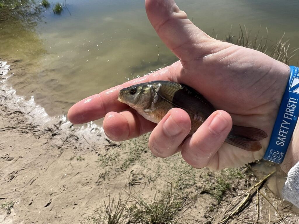 341307743 620280026315770 6292545894757236341 n