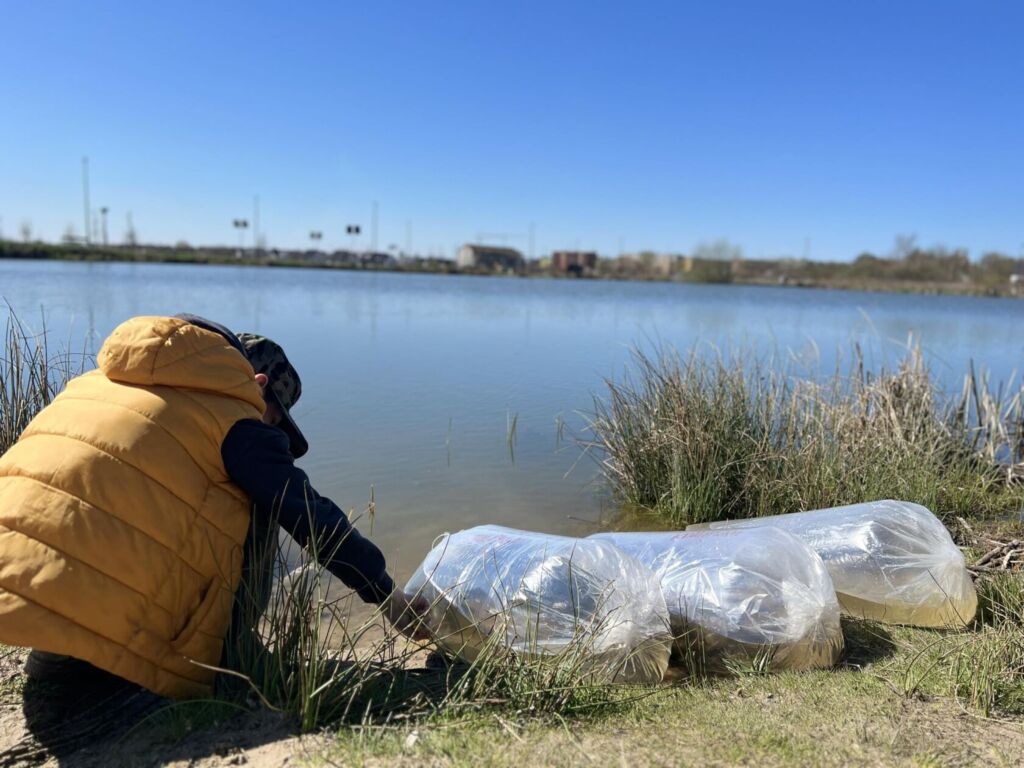 341318295 598860885301050 7535269023192644949 n