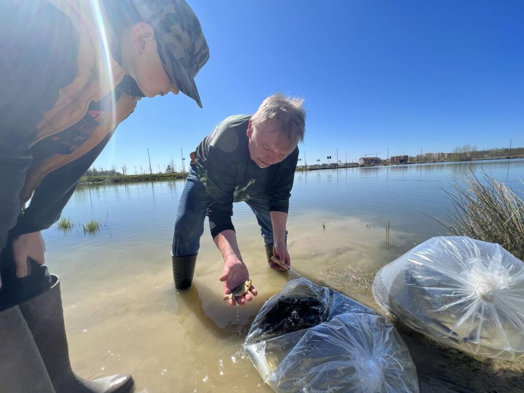 341834077 624162989170738 6825728223121940567 n