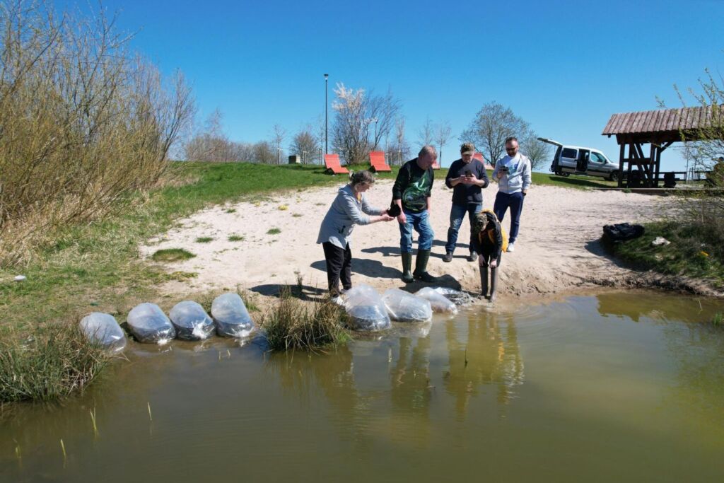 341849392 1946798682344624 7189988694149385047 n