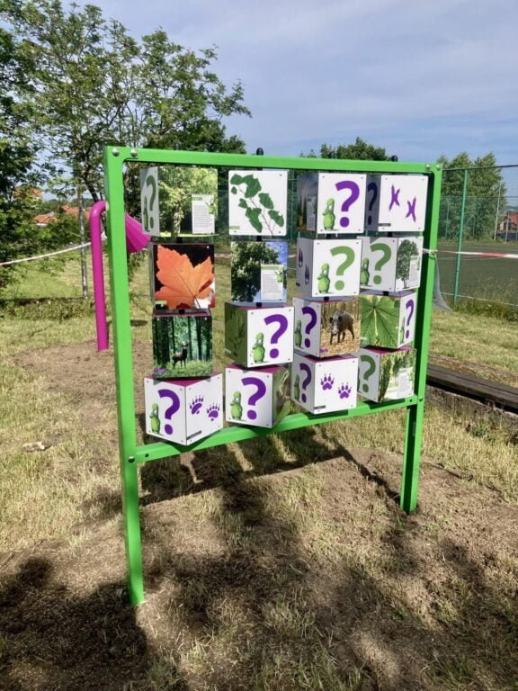 355388026 219613404320624 5660369664787825524 n