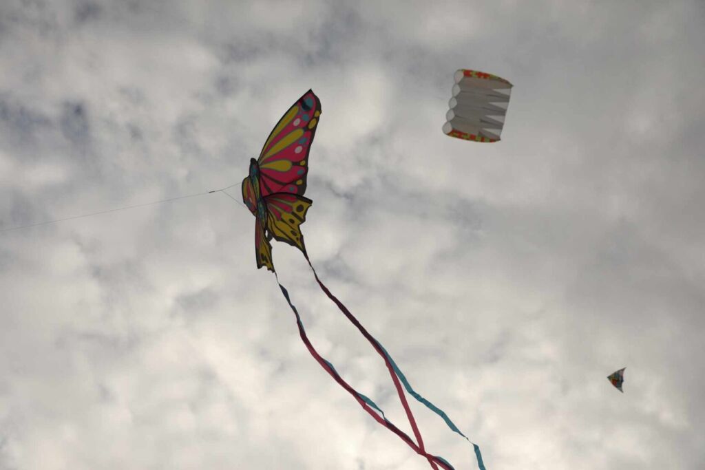 365504859 810720483873864 5493255954665787568 n