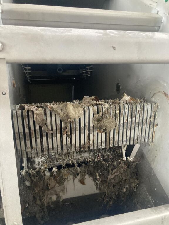 406273211 734160694712172 3891981249823412157 n