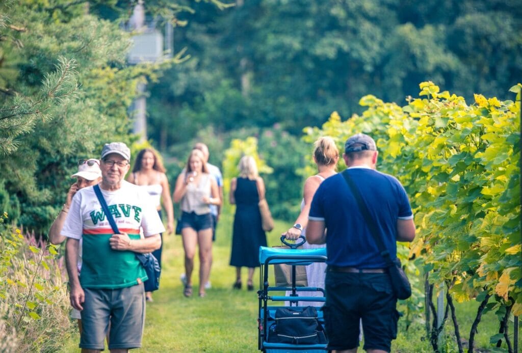 455730658 925879816244976 5546918793152006184 n