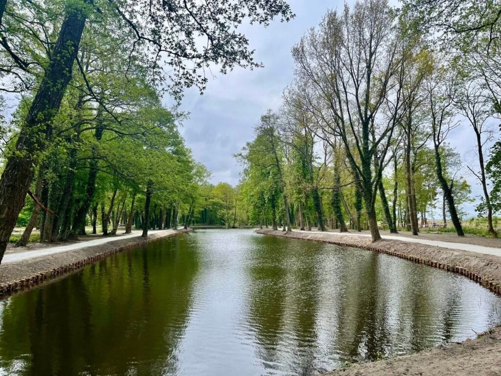 Drzewa nad rzeką w parku o poranku