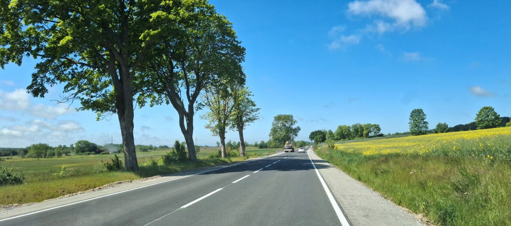 Słoneczny dzień na wiejskiej drodze z żółtymi polami