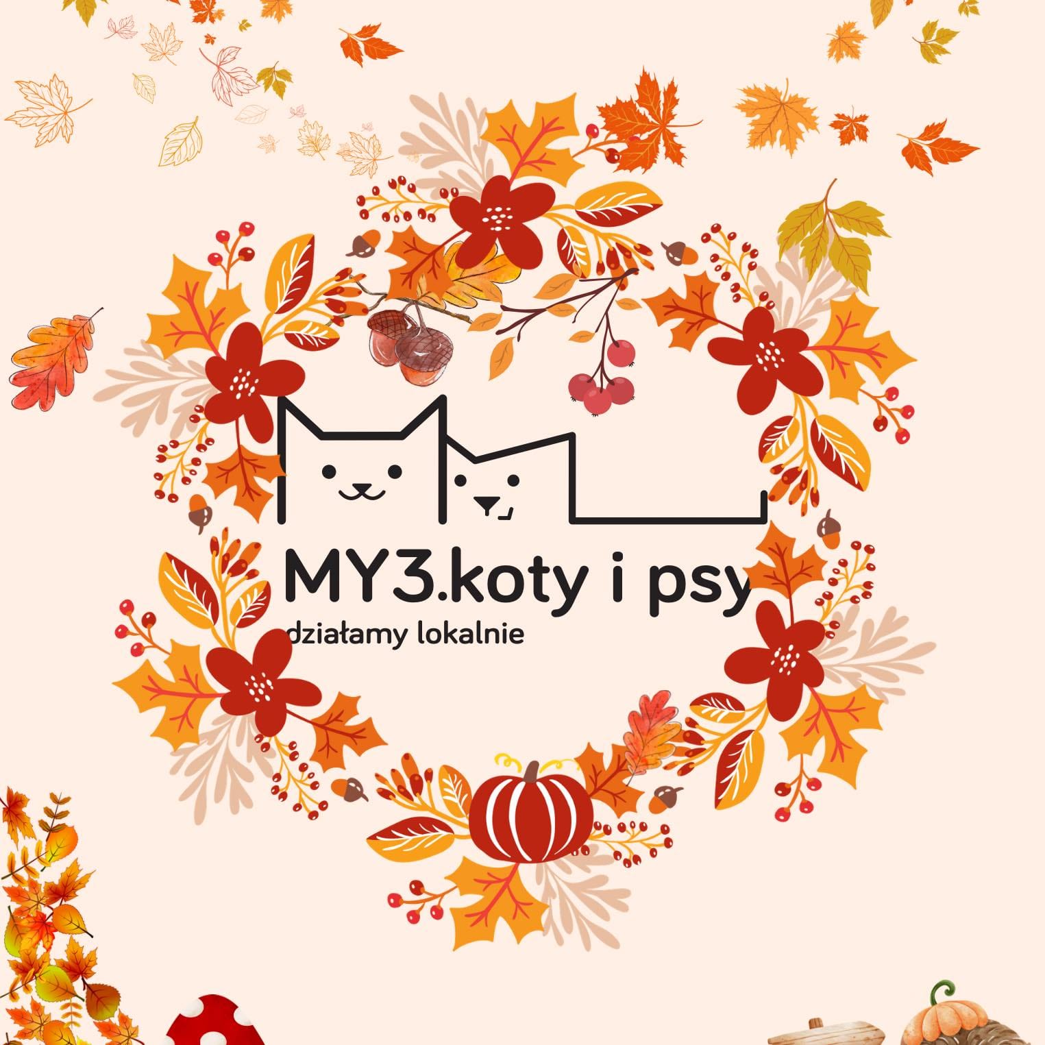 Wsparcie dla lokalnej inicjatywy – „Bartusiowo”