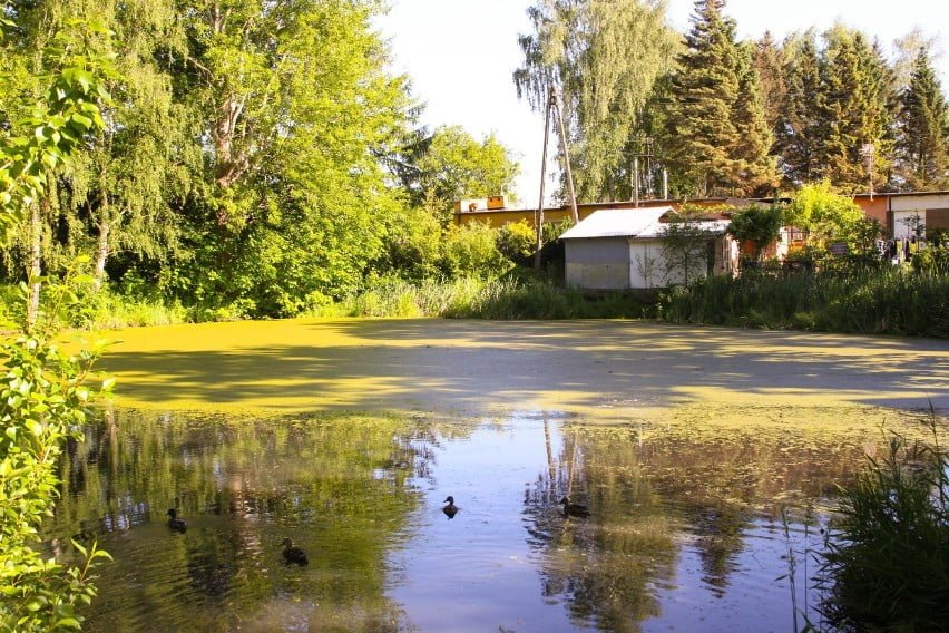 5eedee89646e3 o large