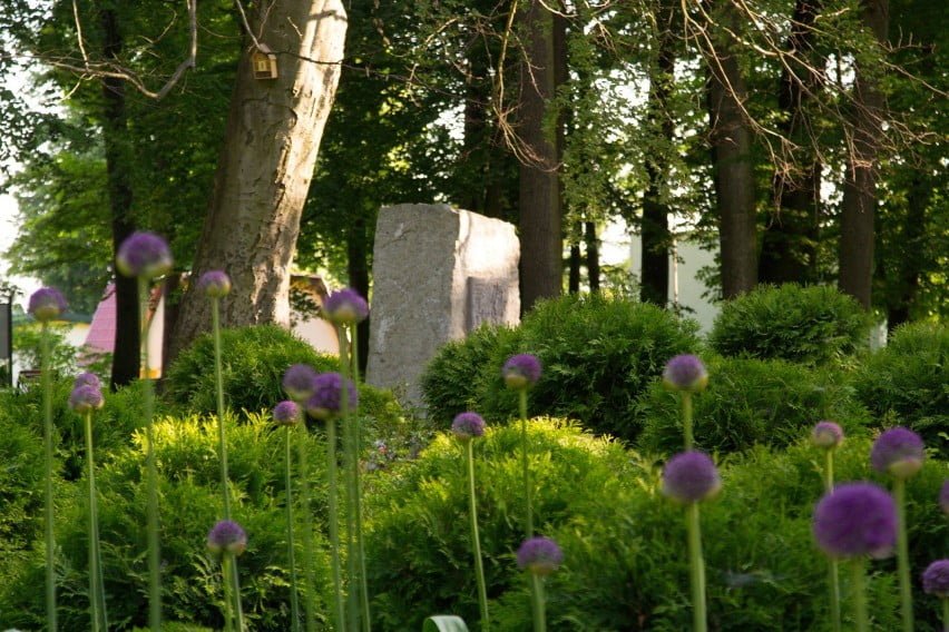 5eedeea12a10a o large