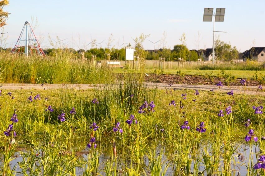 5eedeeb308bfa o large