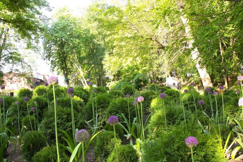 5eedeebd1b576 o large