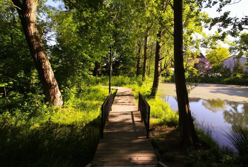 5eedeec0df27e o large