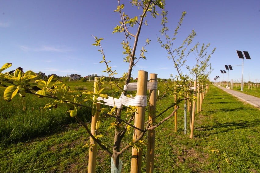 5eedeeeb9da0d o large