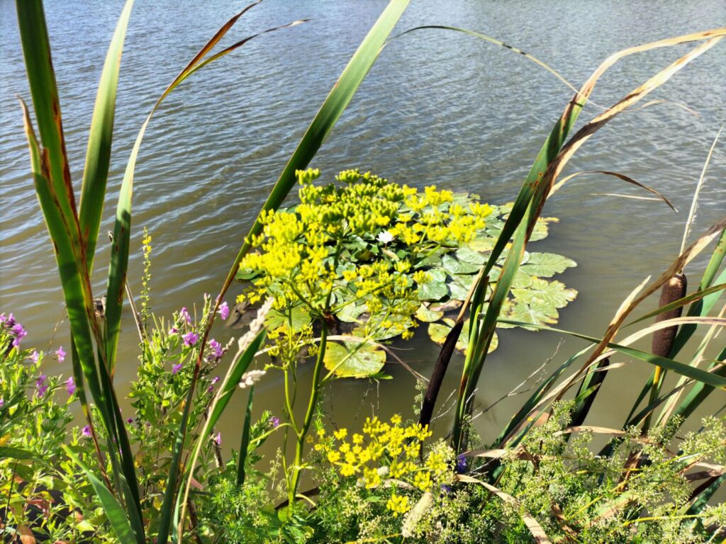 img20220724160728 (1)