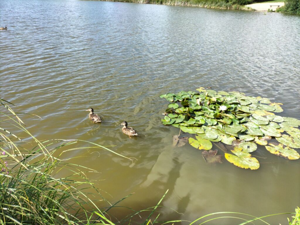 img20220724160737 (1)