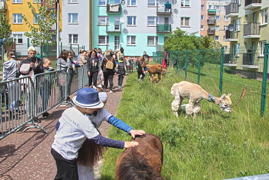 Dzieci głaszczą zwierzęta przy kolorowych blokach mieszkalnych