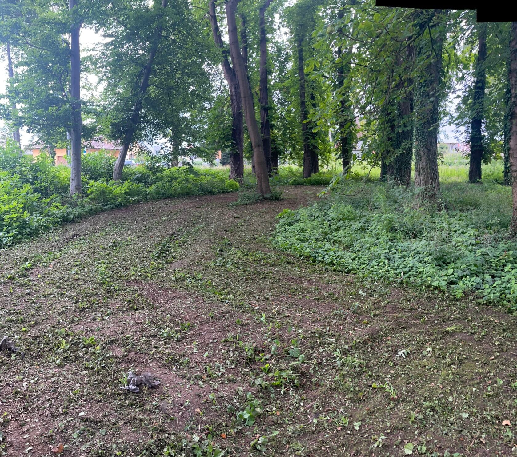 Nowe ścieżki spacerowe w Parku Conrada już w 2026 roku