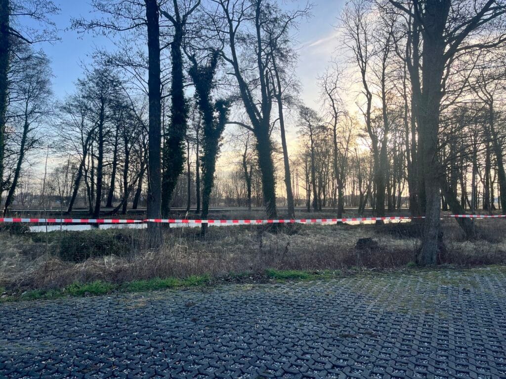 Kostka brukowa i taśma ostrzegawcza wśród drzew o świcie