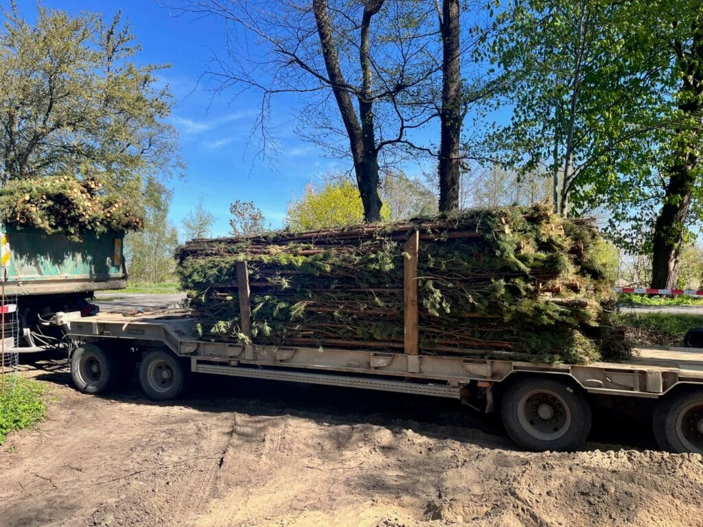 Ciężarówka transportująca ścięte gałęzie drzew