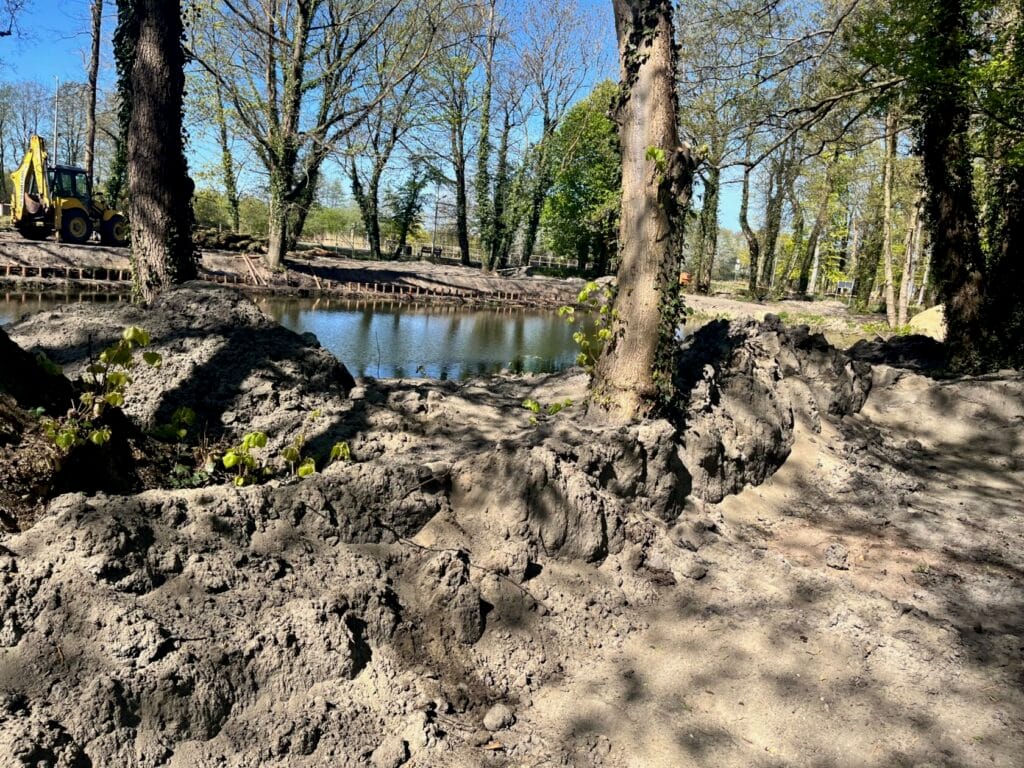 Robotnica koparka przy stawie w parku, prace ziemne