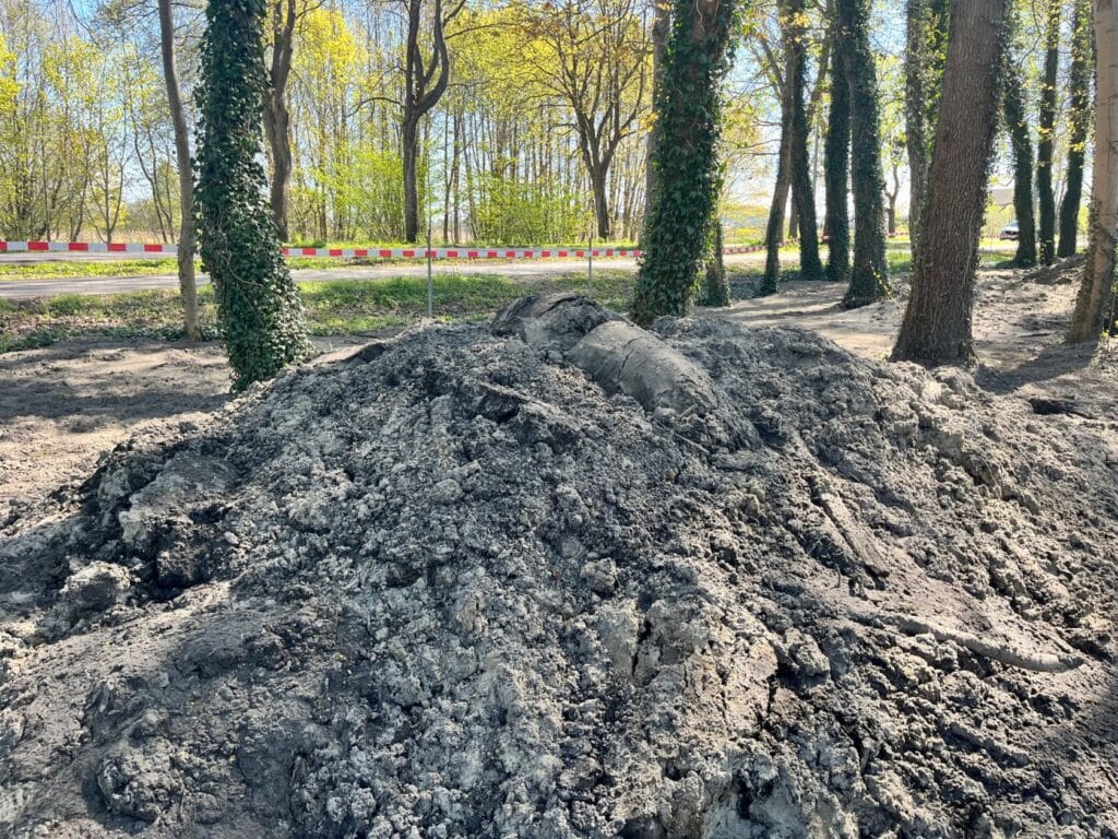 Kopiec ziemi przy drodze z drzewami w parku