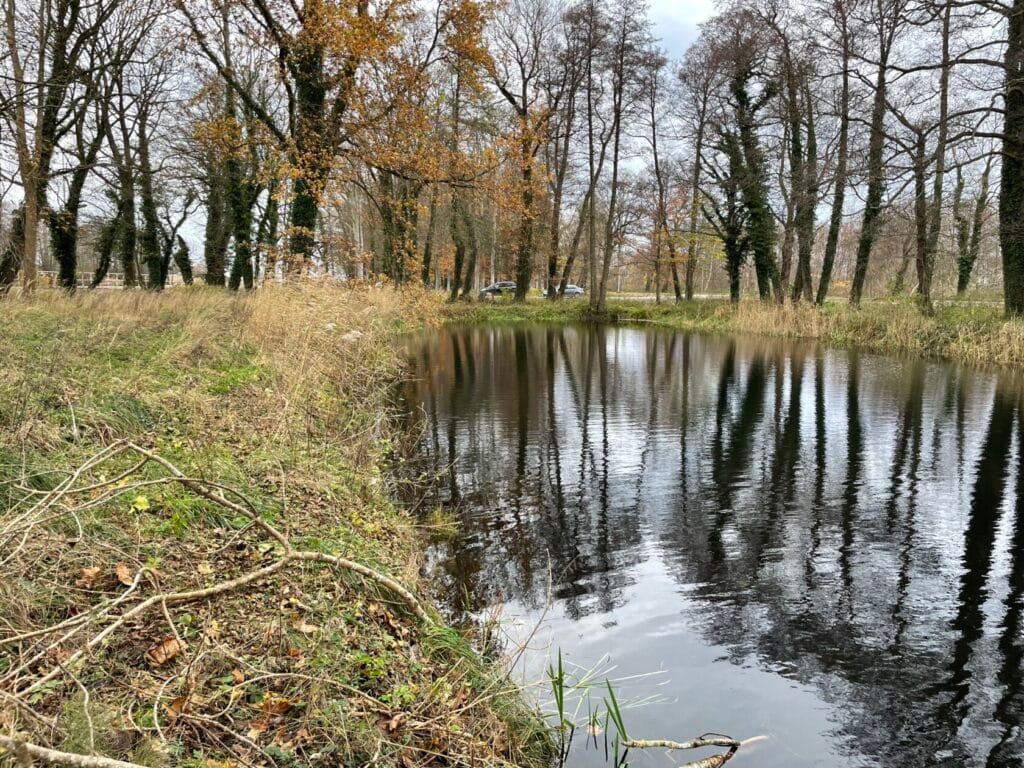 Jesienny krajobraz z odbiciem drzew w stawie