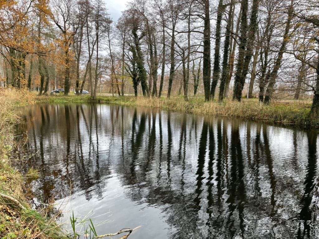 Jesienne drzewa odbijają się w spokojnej wodzie jeziora