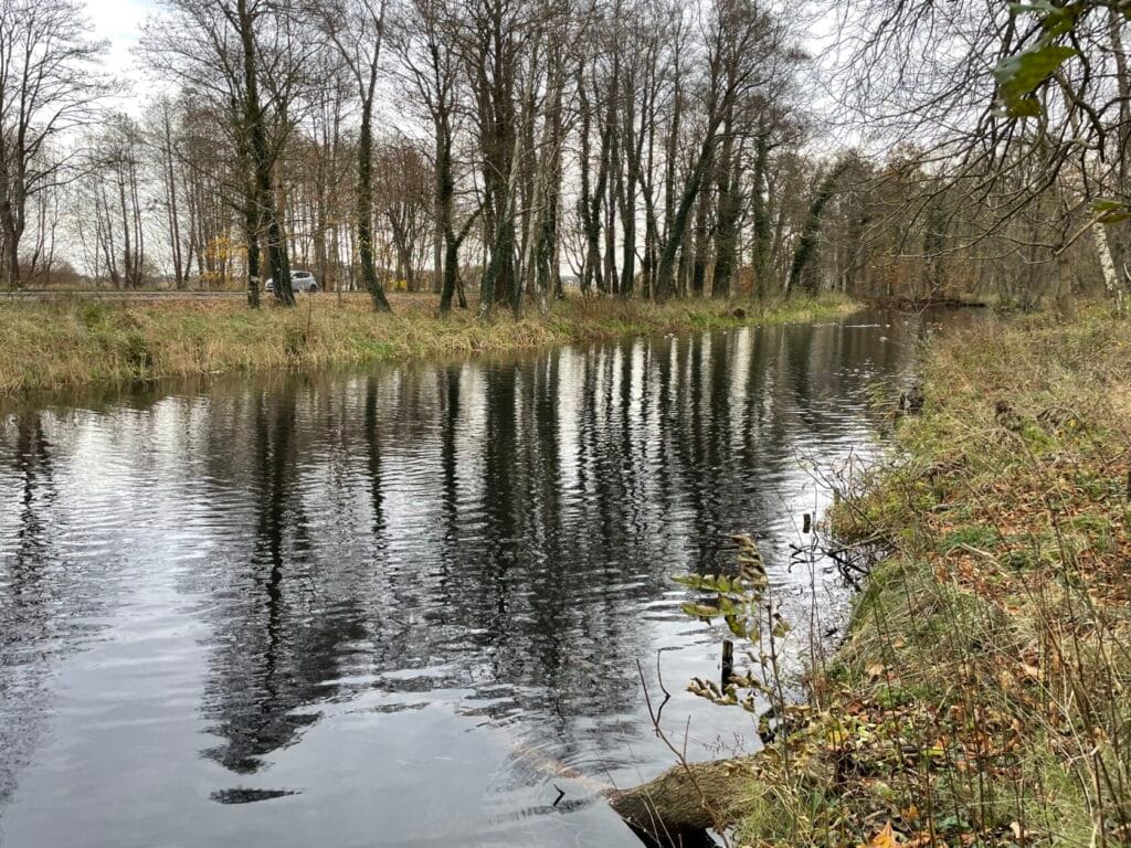 Spokojna rzeka otoczona drzewami w chłodny dzień