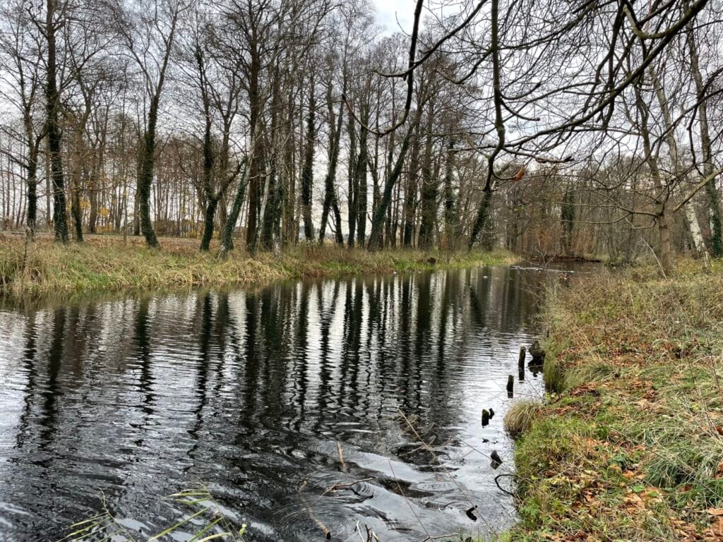 Spokojna rzeka otoczona drzewami w jesiennej scenerii