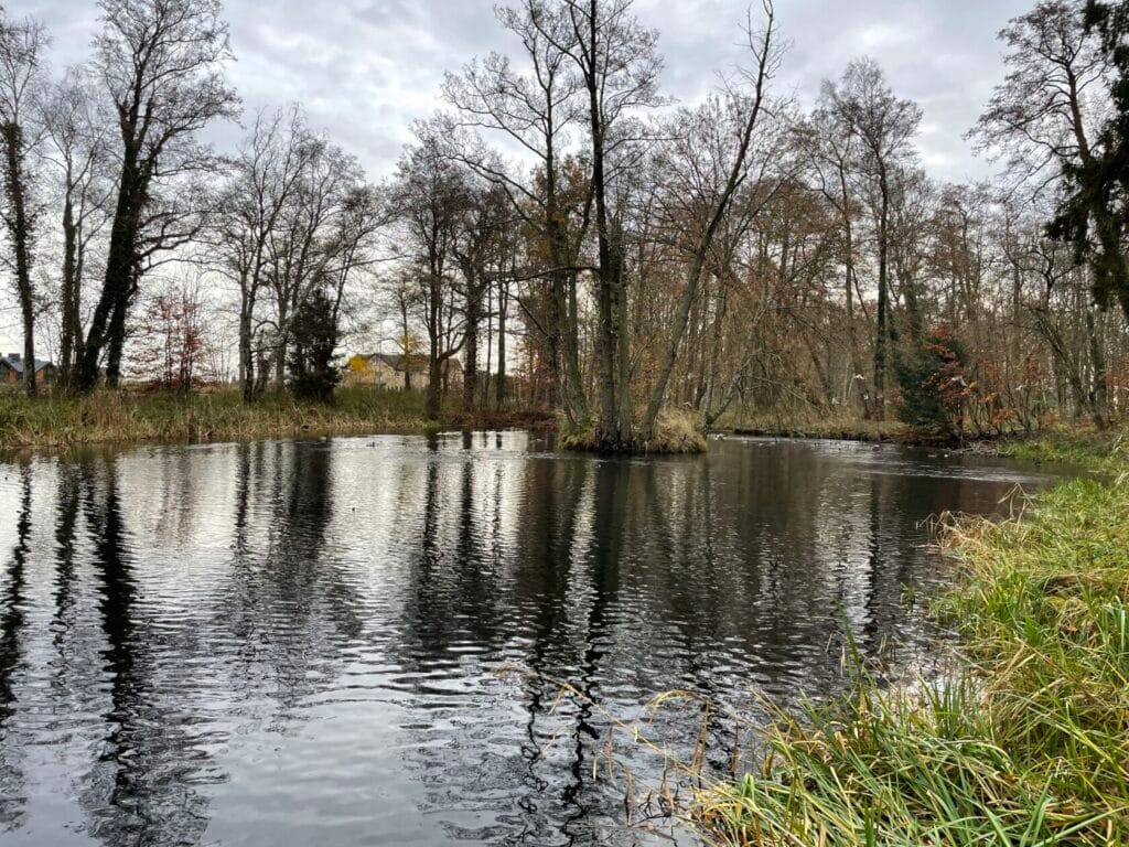 Pejzaż z drzewami odbijającymi się w stawie jesienią