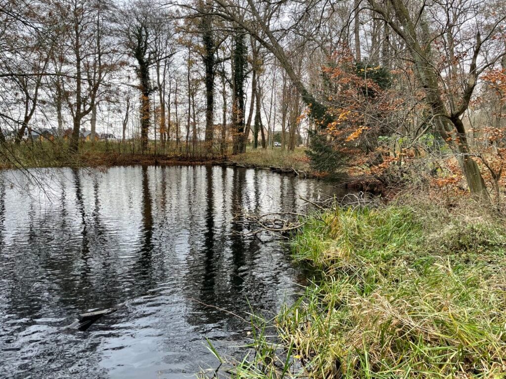 Jezioro otoczone drzewami jesienią