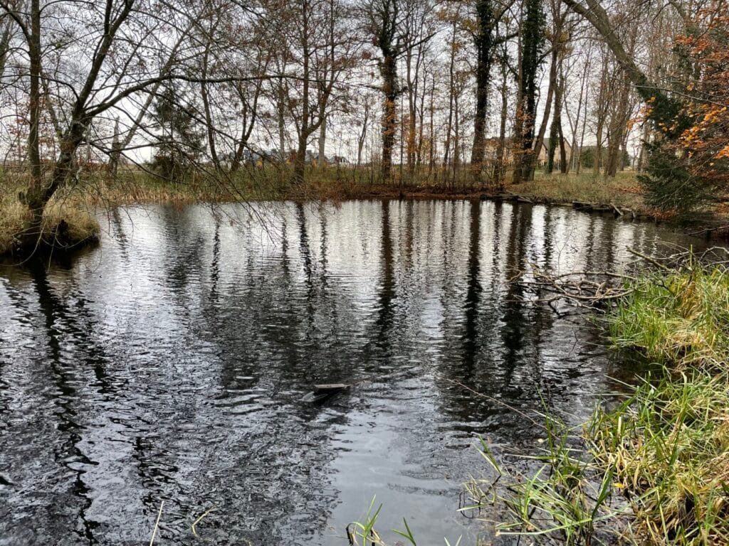 Jesienne drzewa odbijają się w spokojnym stawie