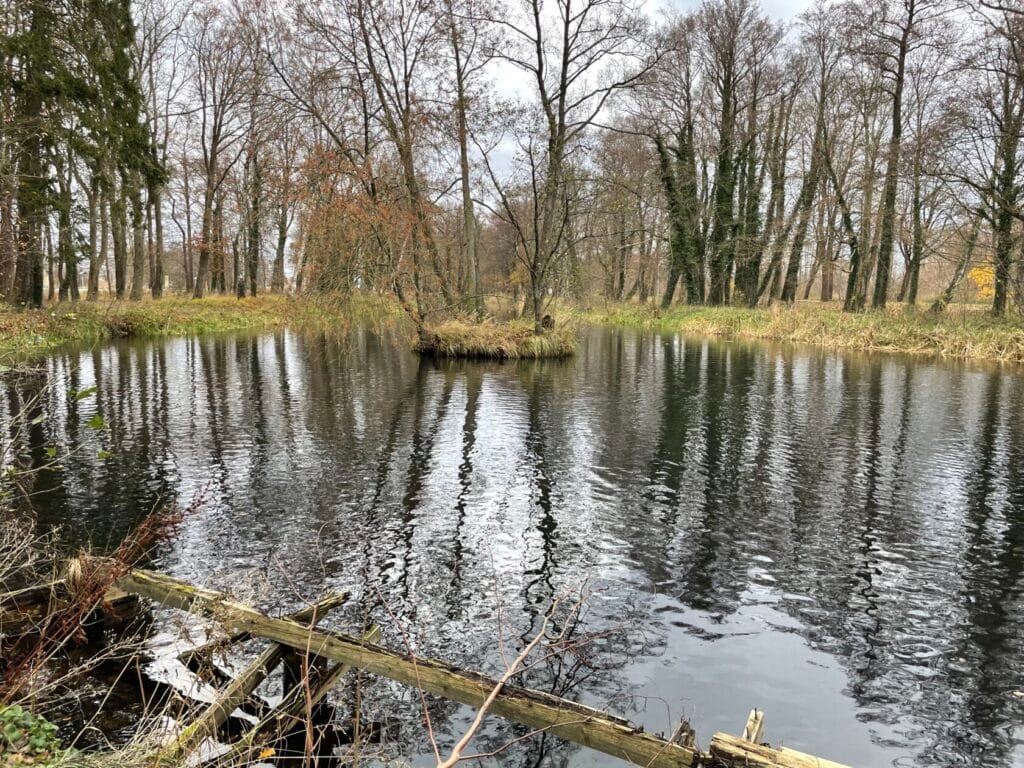 Rzeka odbijająca drzewa w dolinie, rozpadający się płot