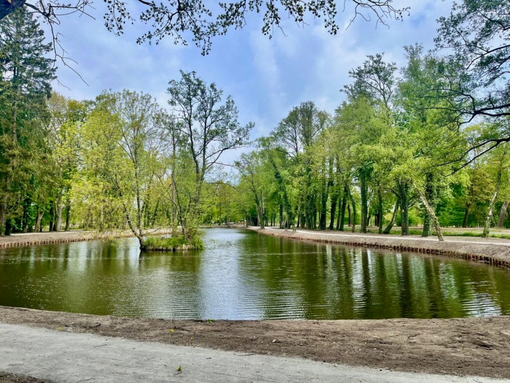Scenic view of a park with green trees and a pond.