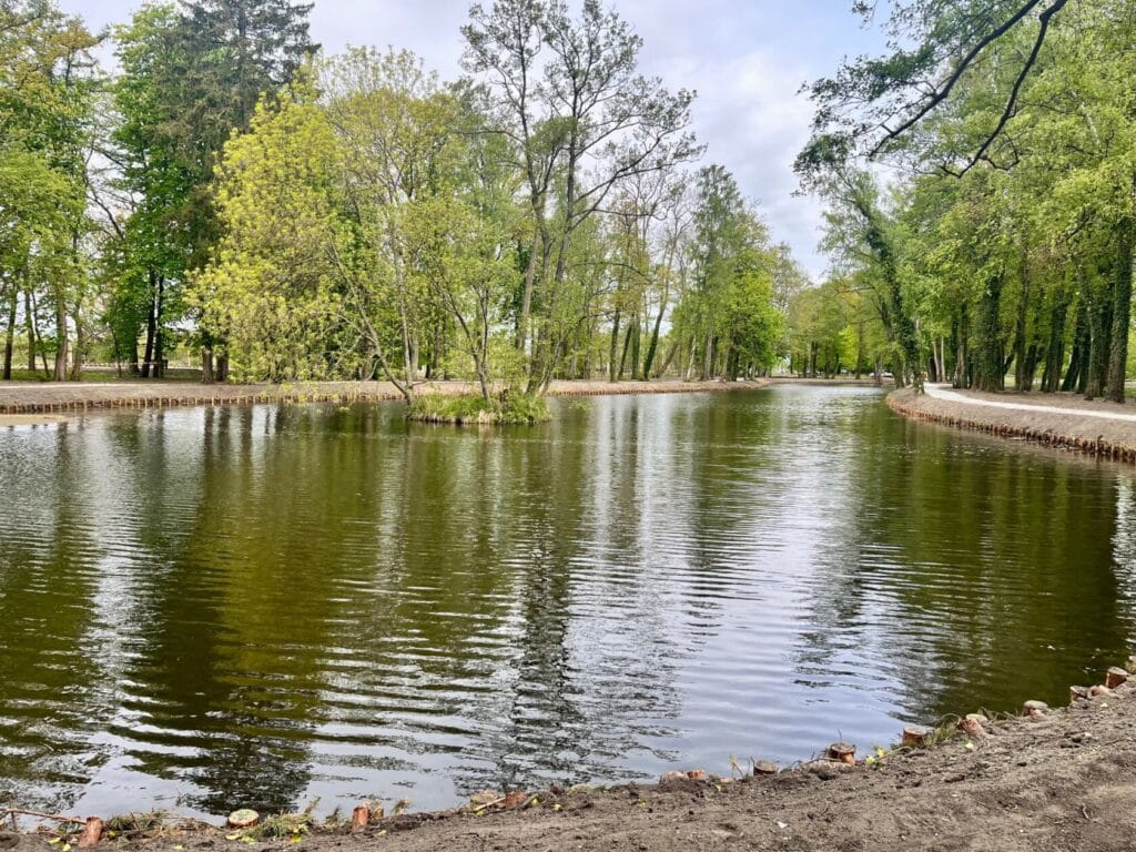 Urokliwy staw otoczony drzewami w parku.