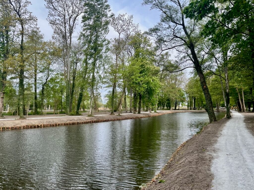 Park z jeziorem, alejką i wysokimi drzewami