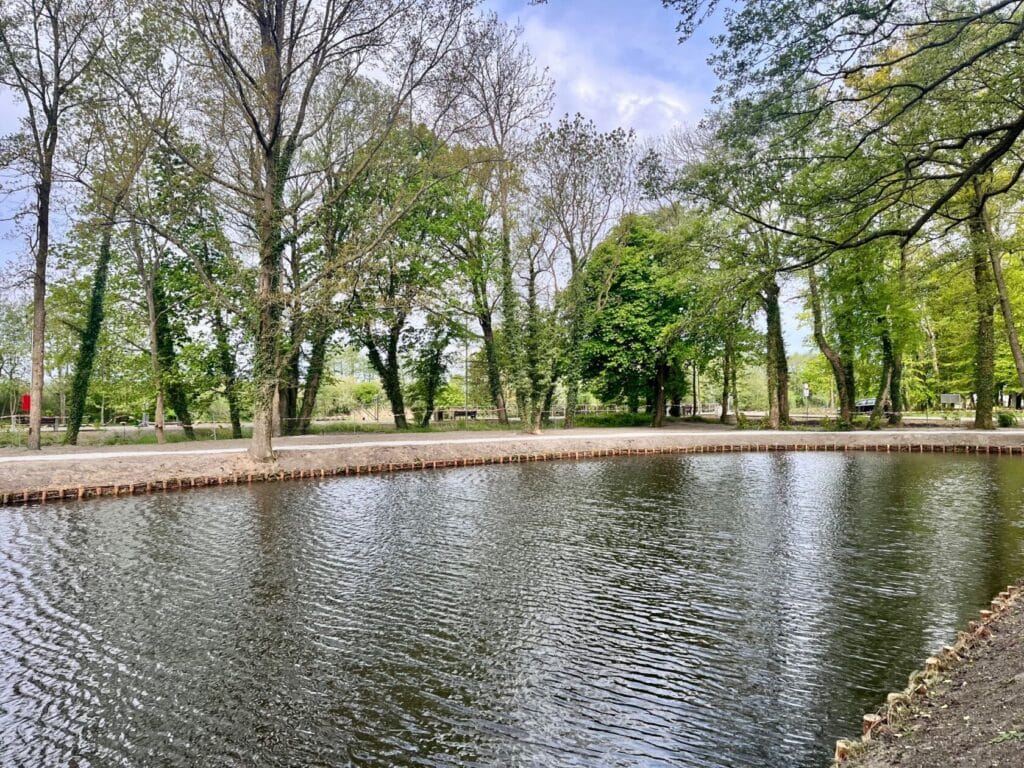 Staw otoczony drzewami w parku miejskim