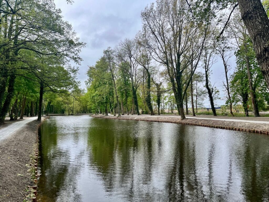 Park z alejką i stawem otoczony drzewami
