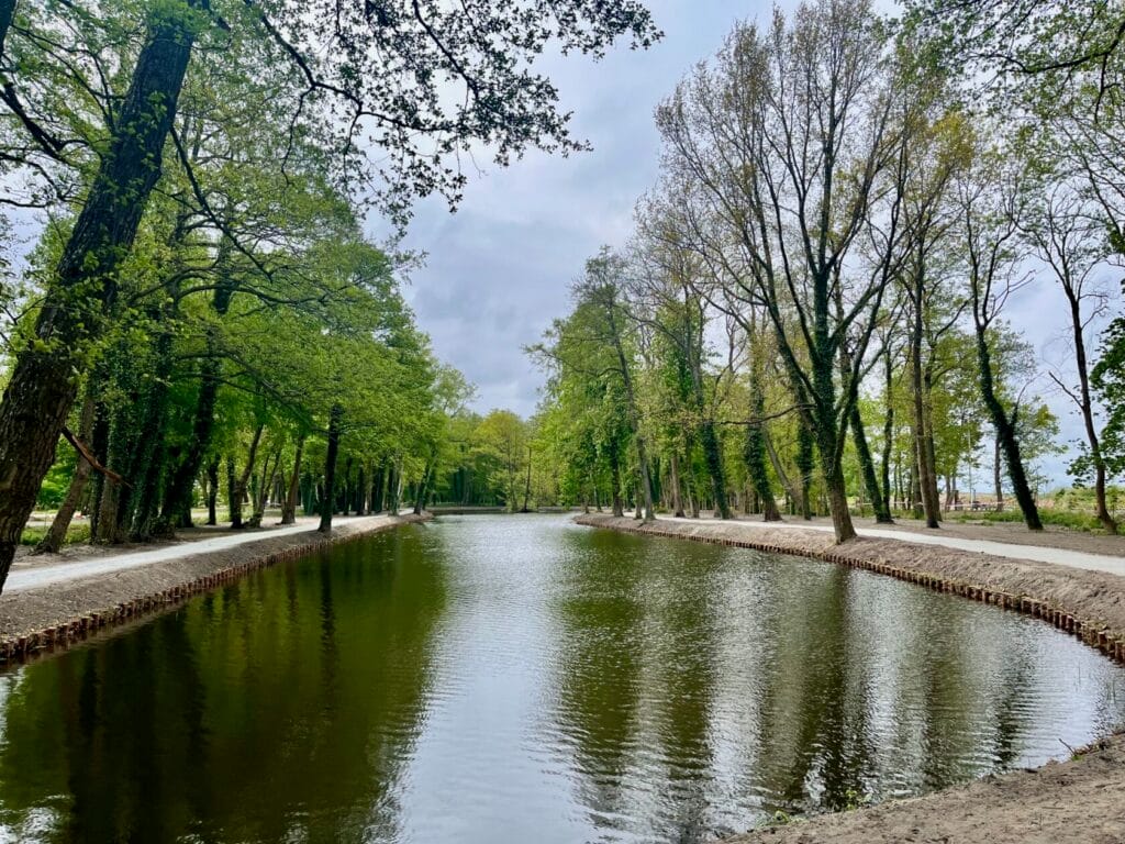 Drzewa wzdłuż wiosennego kanału w parku